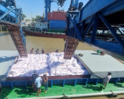 viet-nam-chu-dong-giam-xuat-khau-gao-tu-nam-2026-dieu-nay-co-y-nghia-gi-voi-thi-truong