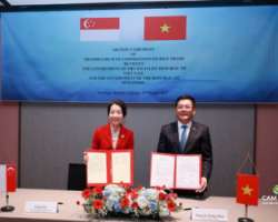 singapore-viet-nam-ky-ket-ban-ghi-nho-hop-tac-thuong-mai-gao-br-tang-cuong-an-ninh-luong-thuc-k