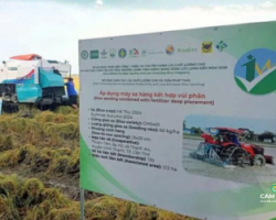 vietnam-ra-mat-tieu-chuan-gao-it-phat-thai-thuc-day-san-xuat-ben-vung