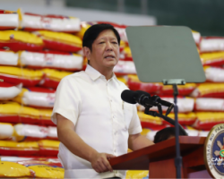 philippines-mo-cua-so-nhap-khau-gao-thang-12026-br-co-hoi-cho-nha-xuat-khau-viet-nam-cam-rice