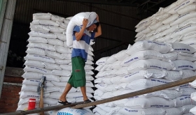 Đề xuất cấm đấu thầu 3 năm nếu doanh nghiệp ‘xù’ hợp đồng cung cấp gạo dự trữ