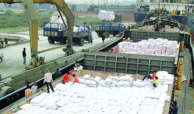 Philippines dựng rào cản kỹ thuật có gây khó cho gạo Việt Nam?