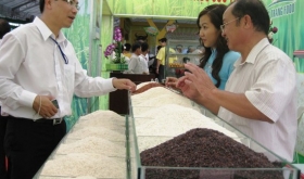 Gạo Việt Nam cần chiến lược dài hạn