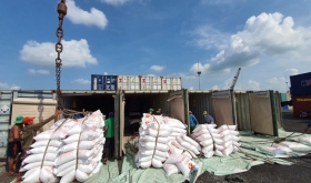 Từ 0h ngày 23-4, hải quan tiếp nhận tờ khai xuất khẩu gạo nếp