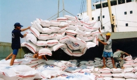 Việt Nam xuất khẩu gạo gần 1 tỉ USD