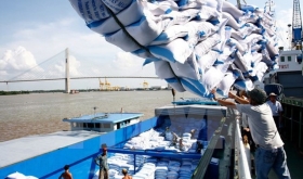 Xuất khẩu gạo sang Philippines tháng đầu năm 2020 giảm mạnh