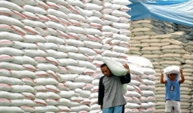 Tiềm năng xuất khẩu gạo sang thị trường Senegal