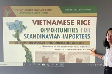 them-co-hoi-xuat-khau-gao-viet-sang-thuy-dien-tu-evfta