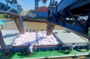 viet-nam-chu-dong-giam-xuat-khau-gao-tu-nam-2026-dieu-nay-co-y-nghia-gi-voi-thi-truong