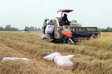 dbscl-lo-ngai-cao-diem-han-man-lai-xuong-giong-vu-he-thu