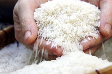 se-xuat-lo-gao-ngon-nhat-sang-chau-au-voi-gia-cao-vao-tuan-toi