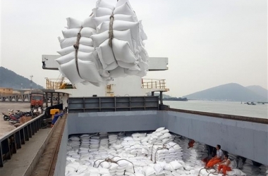 con-duong-viet-nam-de-day-xuat-khau-gao-sang-eu-theo-evfta