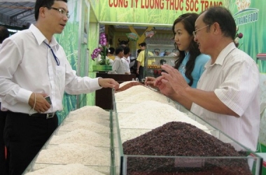 gao-viet-nam-can-chien-luoc-dai-han