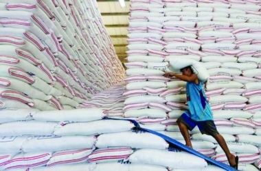 nhap-khau-gao-dat-192-tan-vao-nam-2020