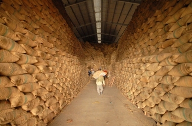 doanh-nghiep-xuat-khau-gao-van-am-uc