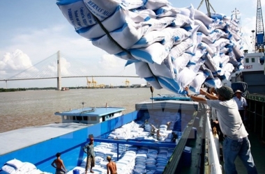 xuat-khau-gao-sang-philippines-thang-dau-nam-2020-giam-manh