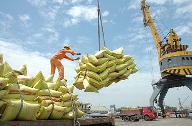 xuat-khau-gao-nguoc-dong-tang-manh