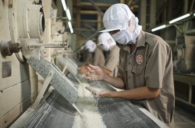 tong-cuc-truong-hai-quan-phai-mua-du-gao-du-tru-moi-cho-xuat-khau