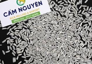 White rice 2517