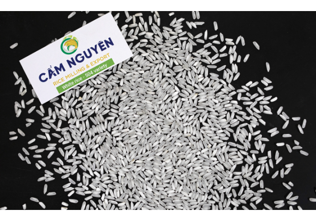 White rice 504